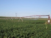 Reinke Pivot